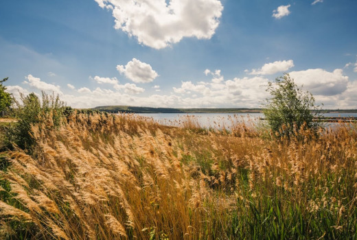 Vacation in the Harz foreland